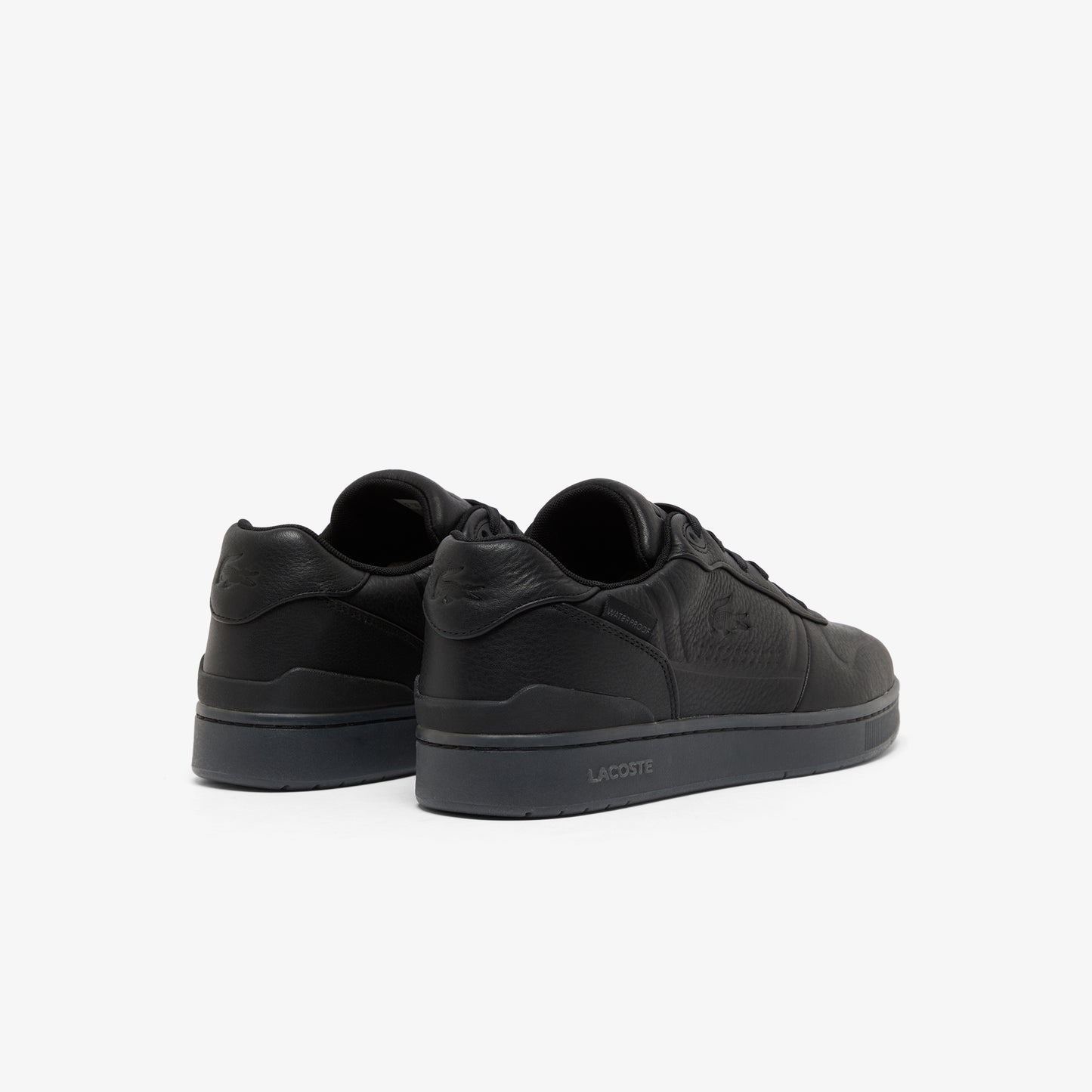 Lacoste T-clip shield 225