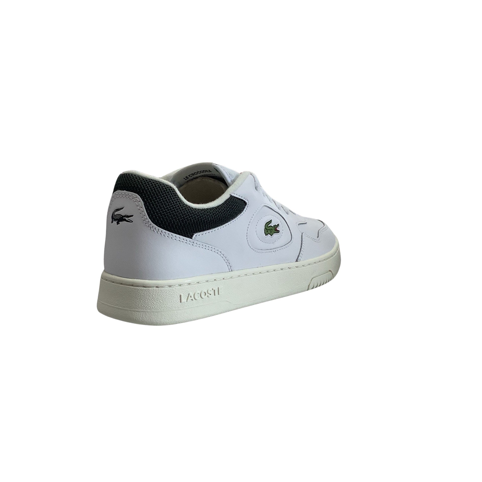 Lacoste Lineset 223 1 SMA