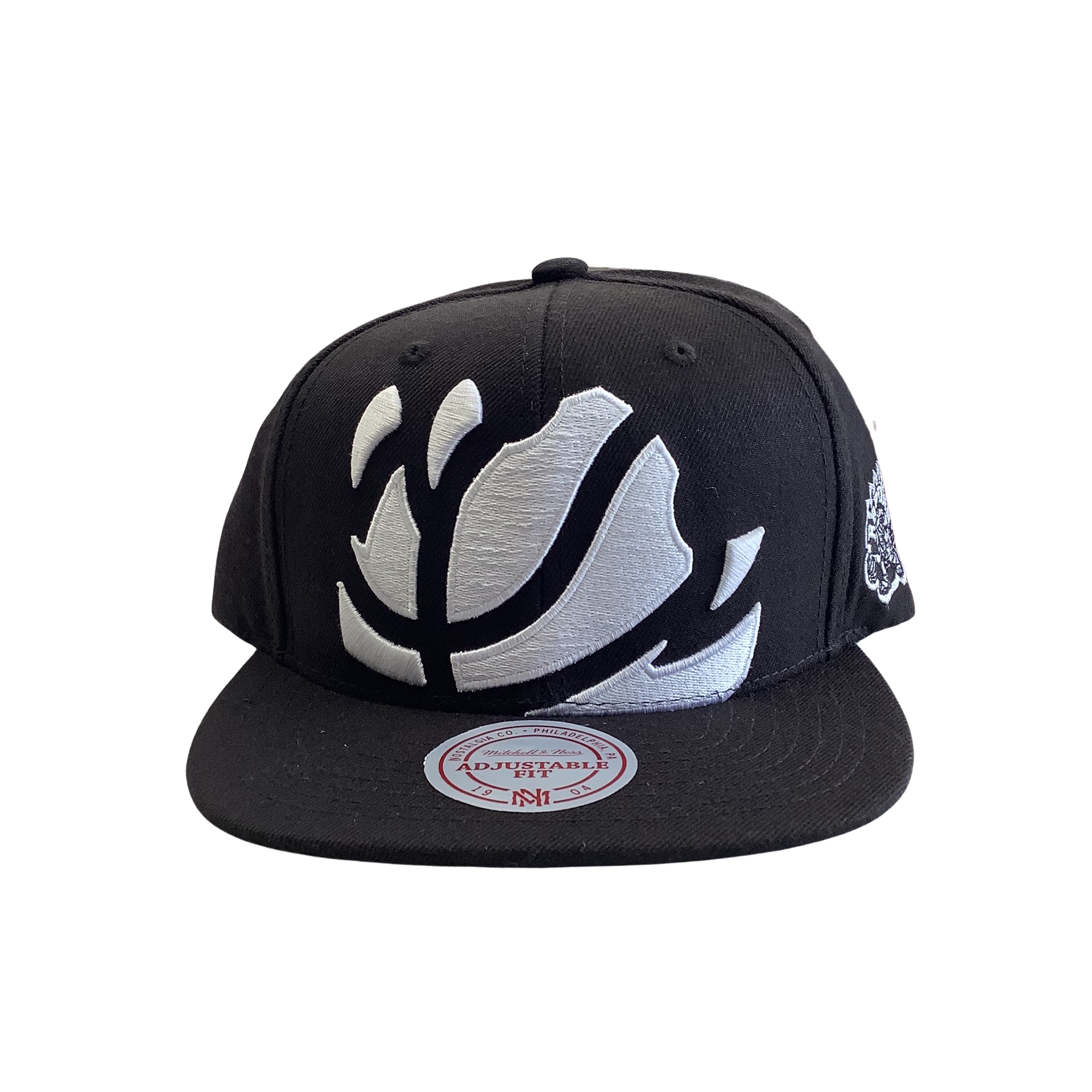 Mitchell & Ness TORONTO RAPTORS