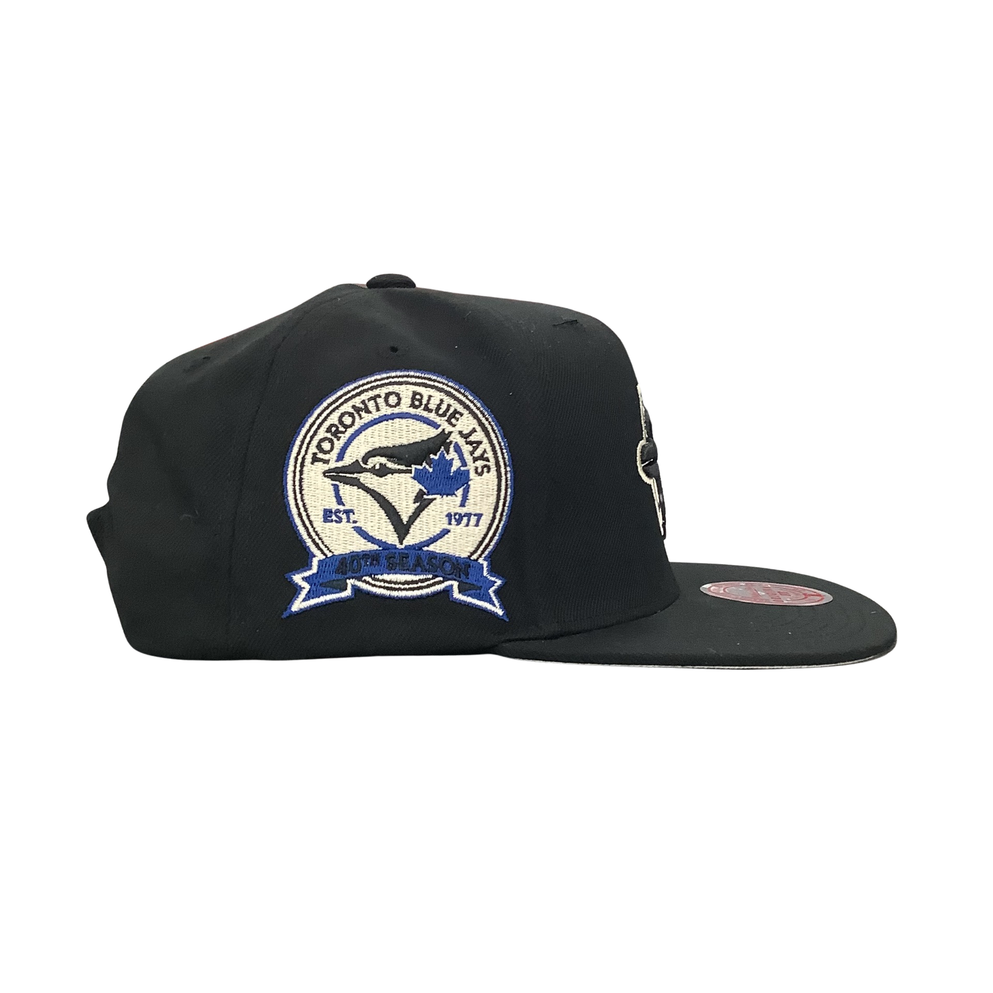 Mitchell N Ness Toronto blue jays