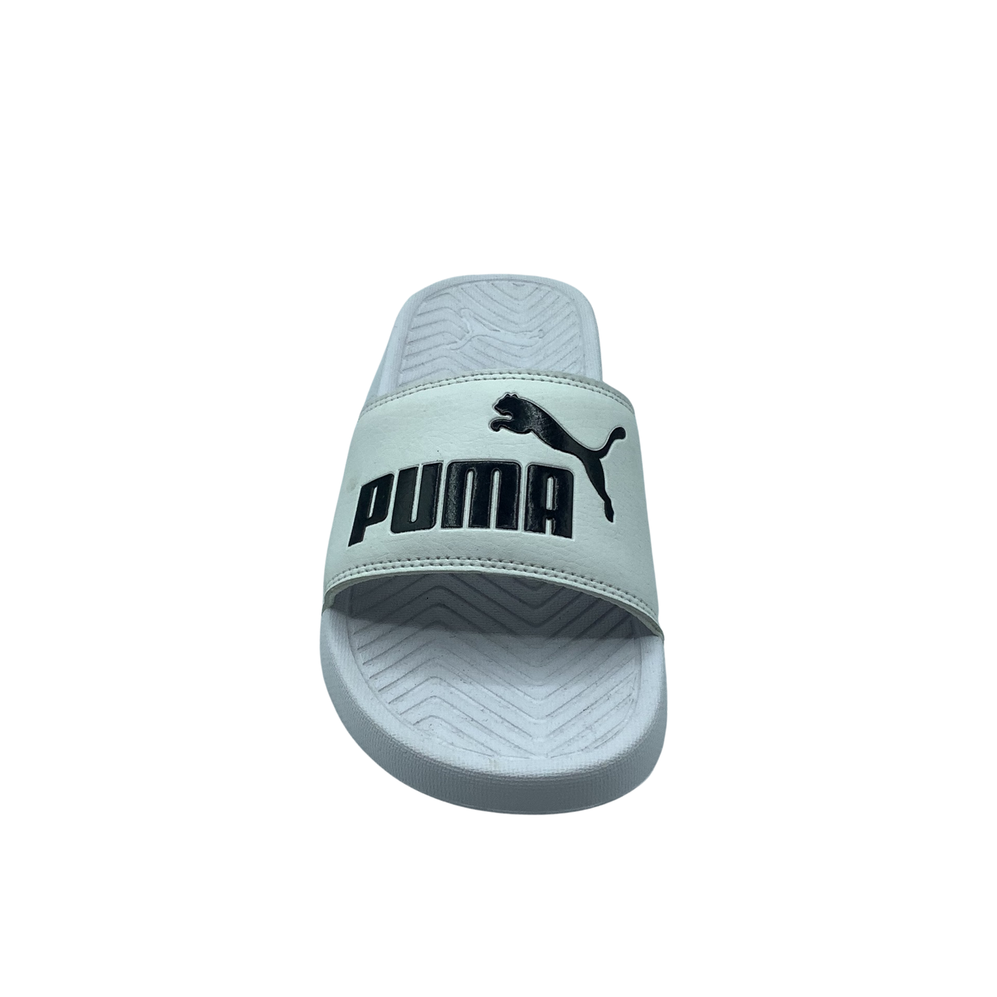 Puma Popcat