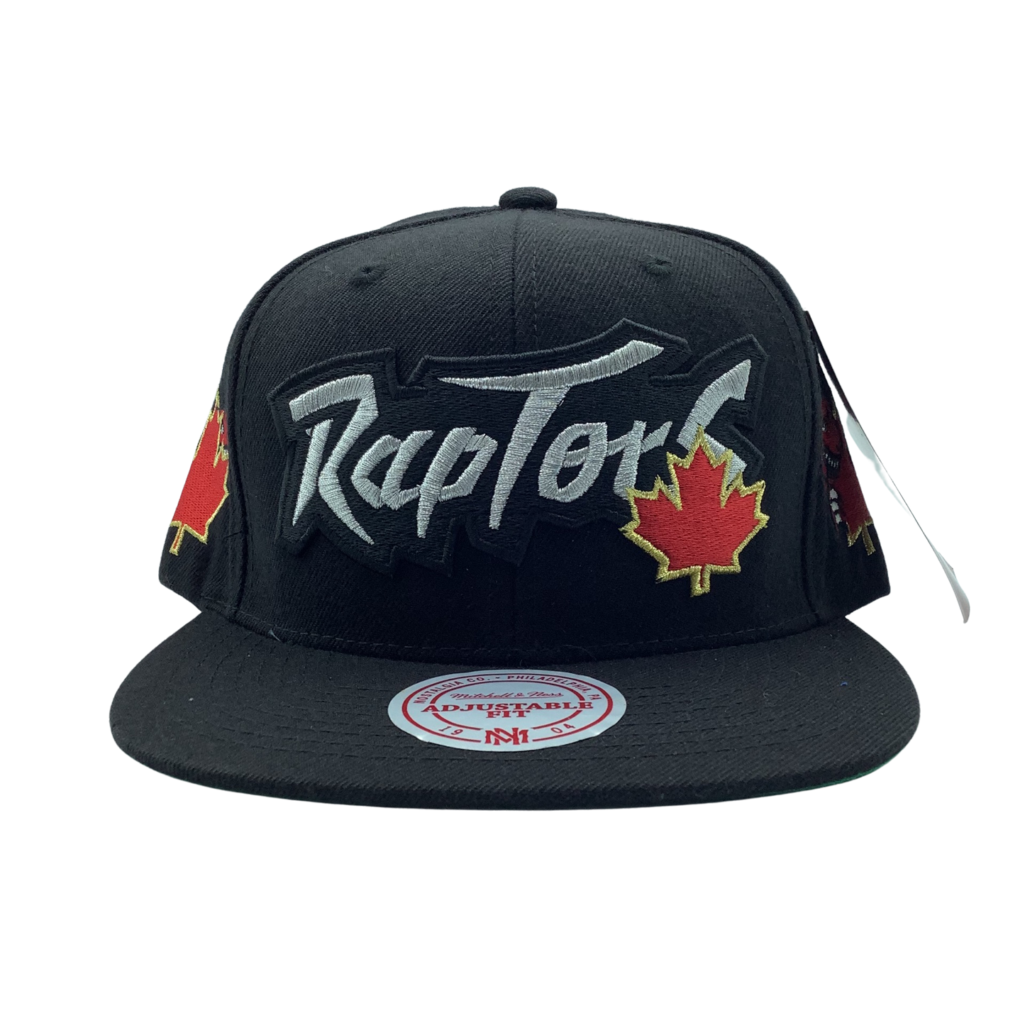 Mitchell & Ness TORONTO RAPTORS