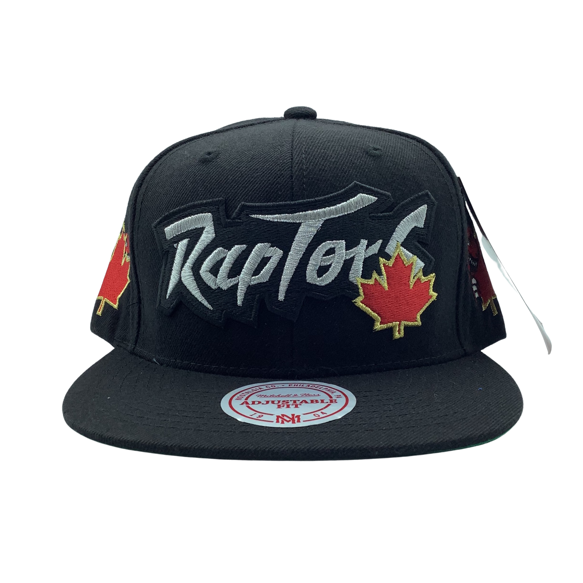Mitchell & Ness TORONTO RAPTORS