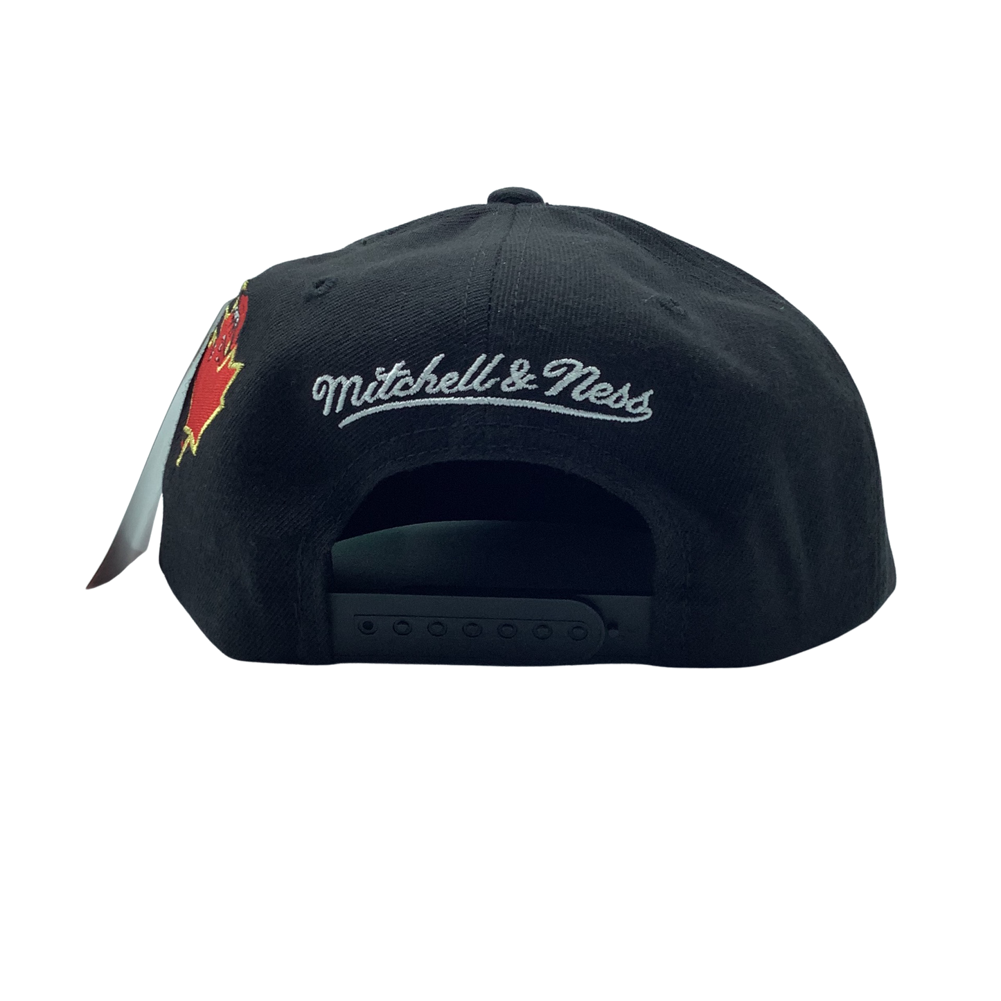Mitchell & Ness TORONTO RAPTORS