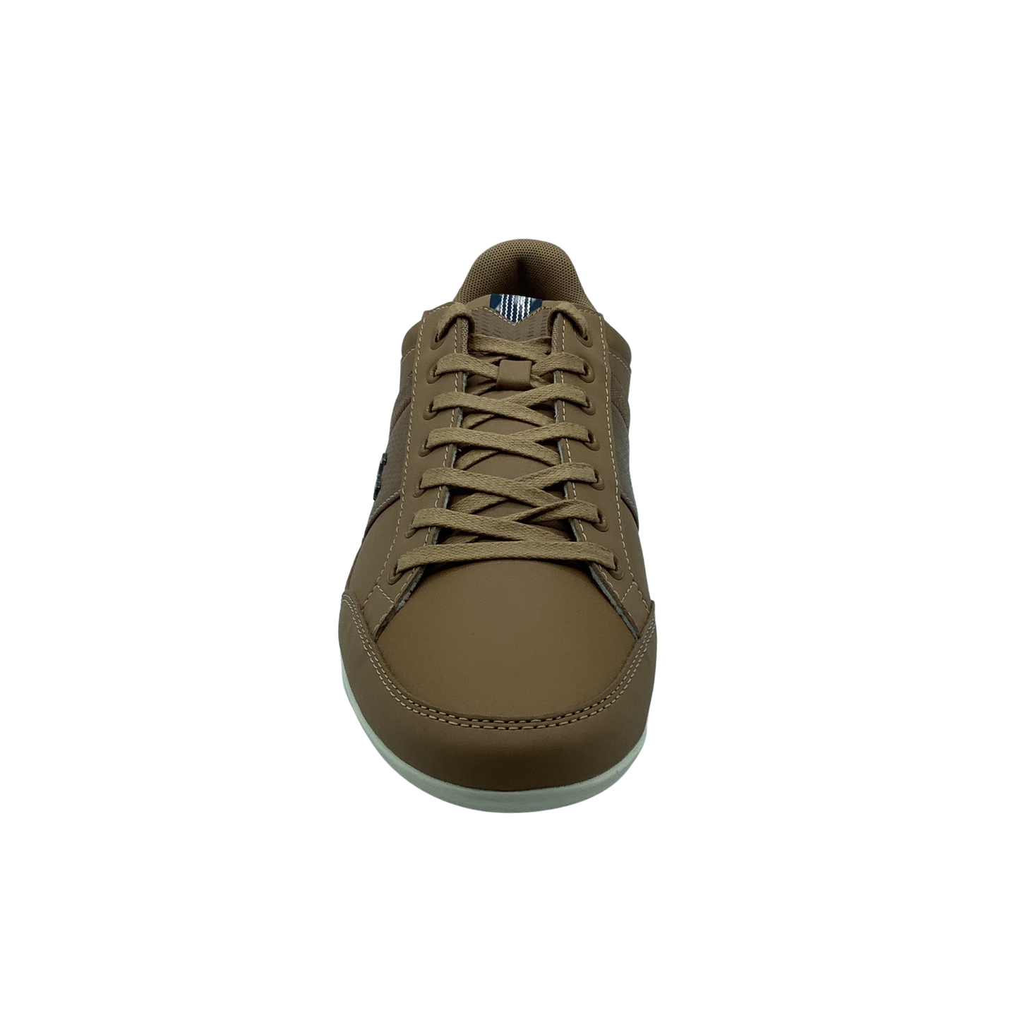 Lacoste CHAYMON 319 1CMA LT