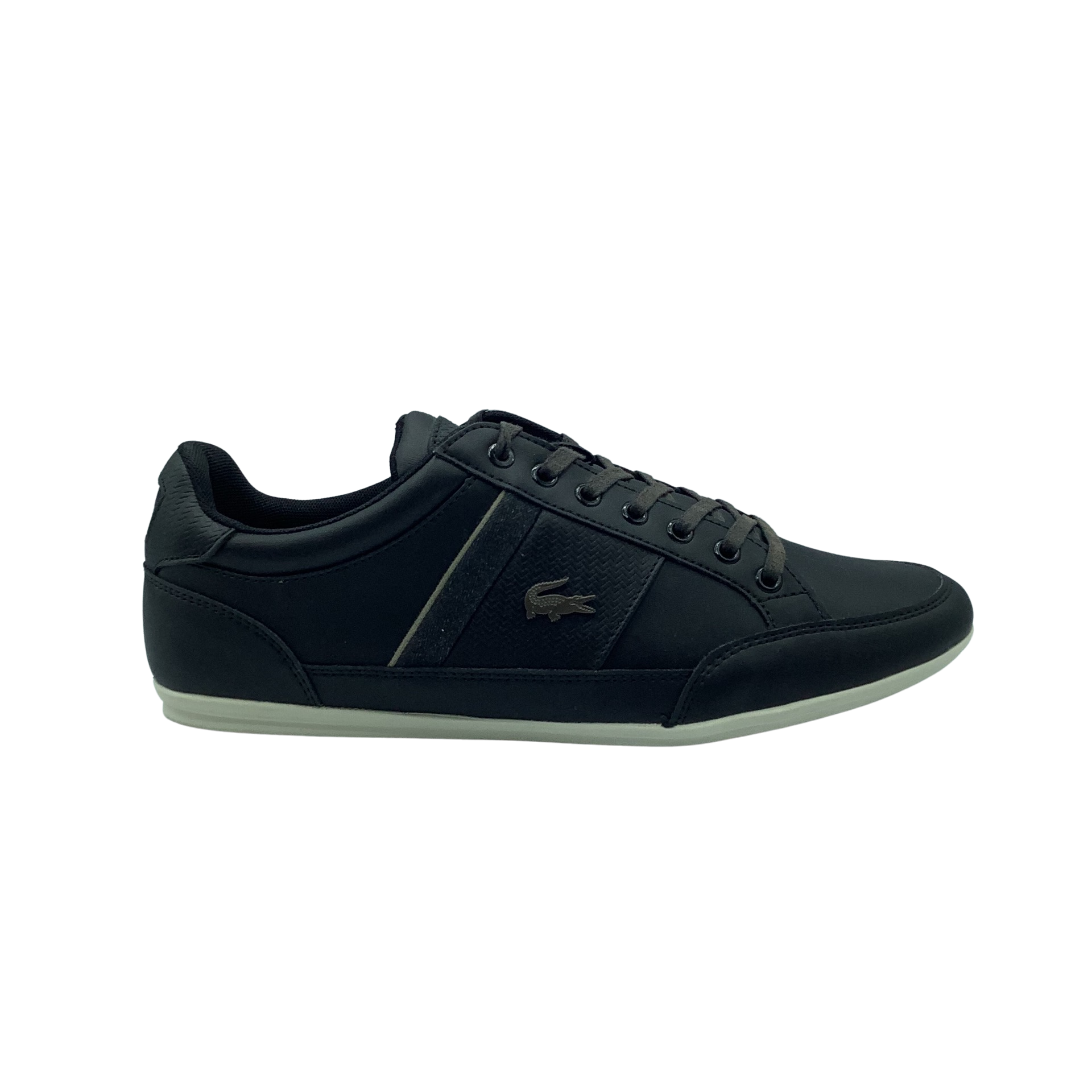 Lacoste online chaymon 319