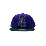 Mitchell & Ness TORONTO RAPTORS