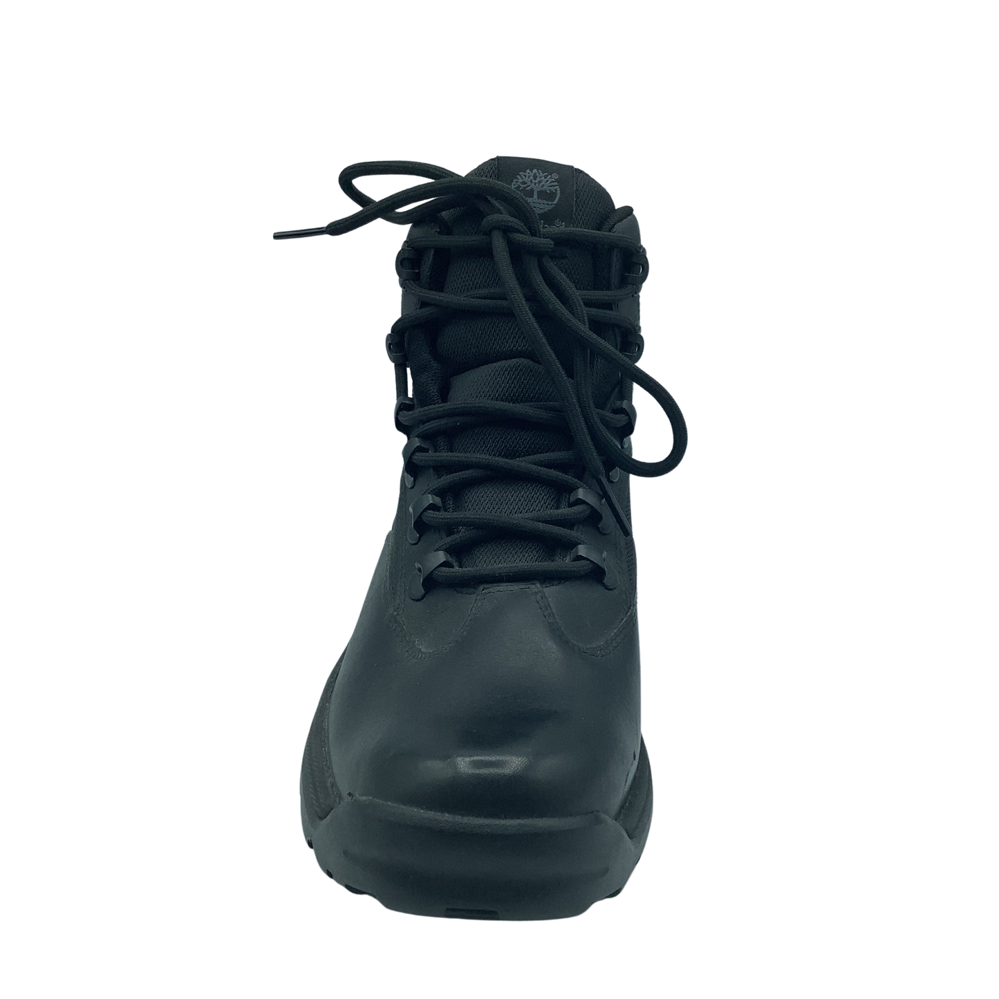 Timberland Chocoeua TRAIL GTX B
