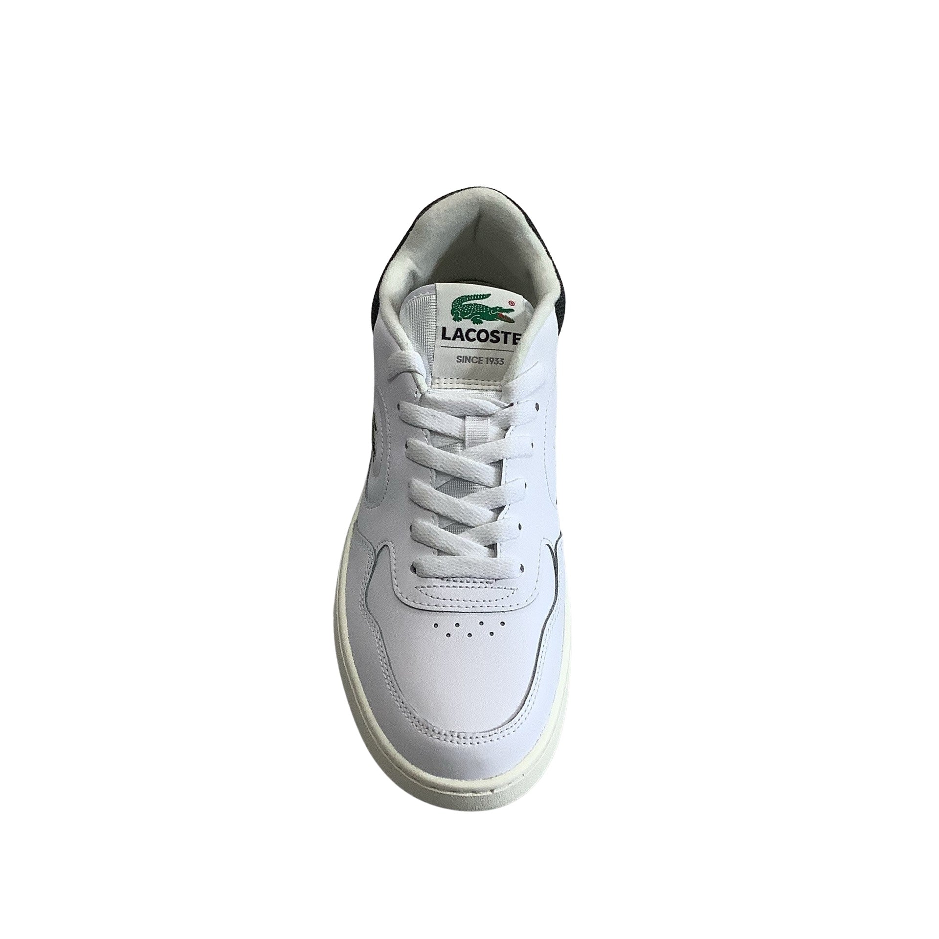 Lacoste Lineset 223 1 SMA