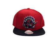 Mitchell & Ness TORONTO RAPTORS