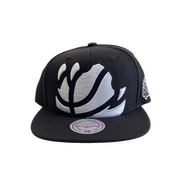 Mitchell & Ness TORONTO RAPTORS