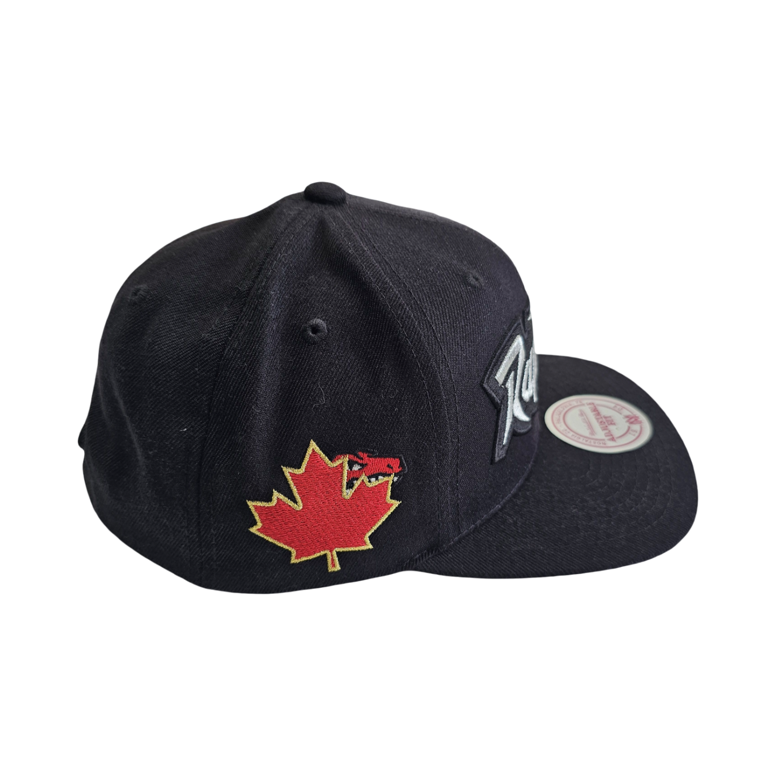 Mitchell & Ness TORONTO RAPTORS