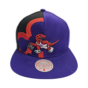Mitchell & Ness TORONTO RAPTORS