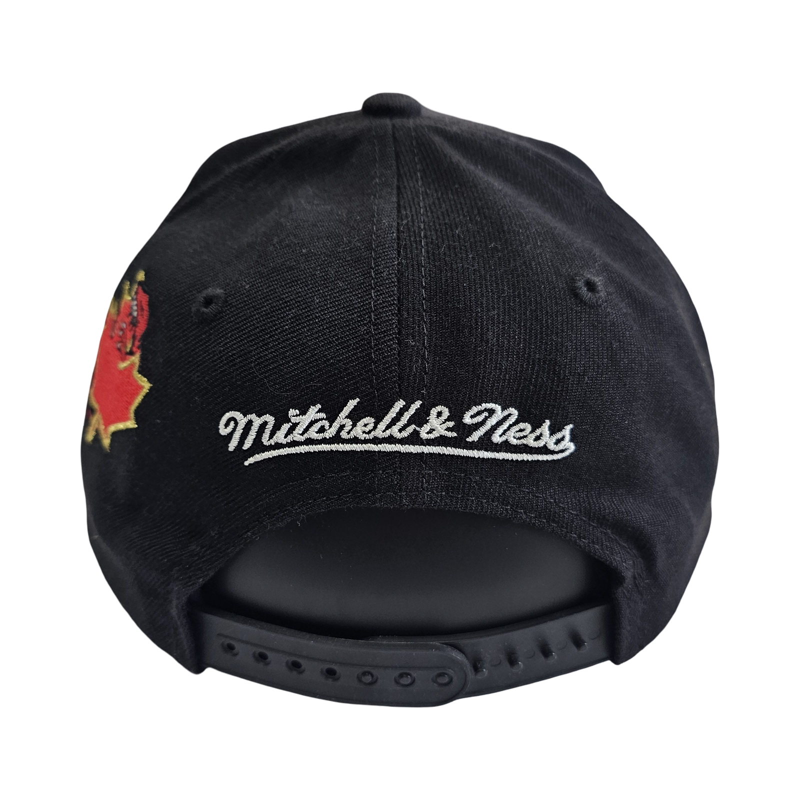 Mitchell & Ness TORONTO RAPTORS