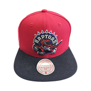 Mitchell & Ness TORONTO RAPTORS