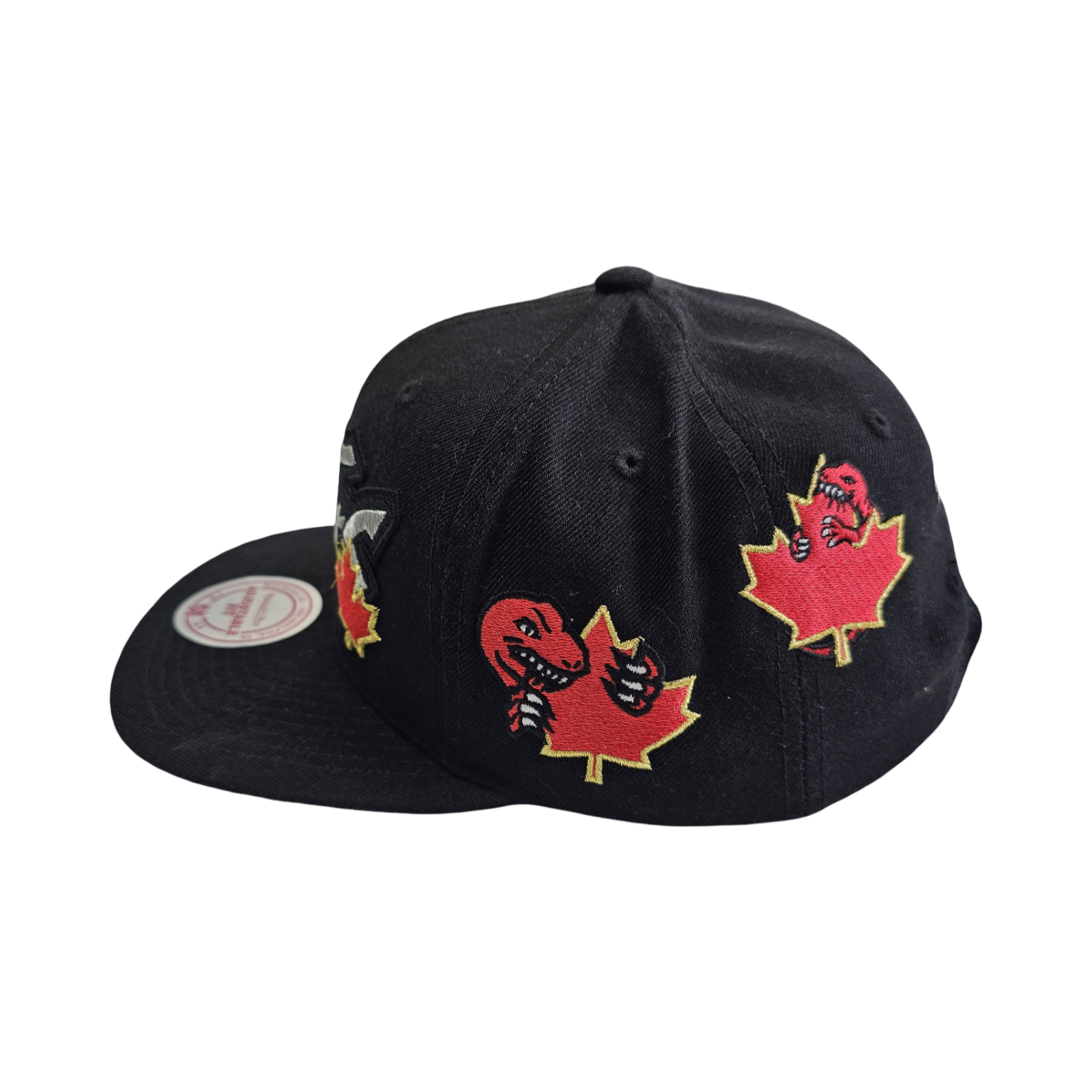 Mitchell & Ness TORONTO RAPTORS