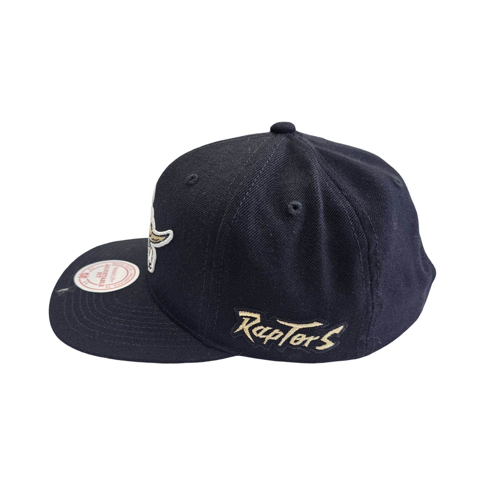 Mitchell & Ness TORONTO RAPTORS