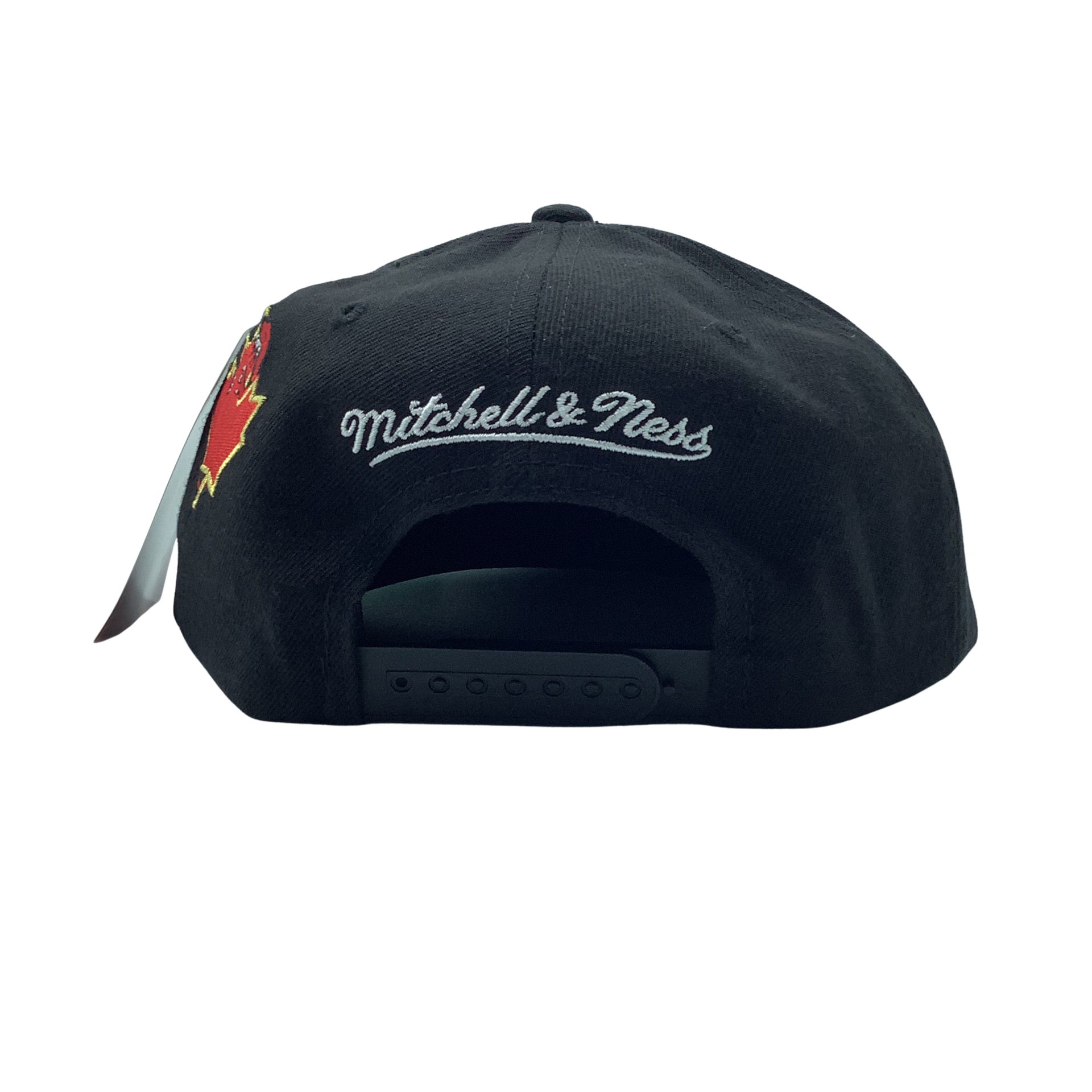 Mitchell & Ness TORONTO RAPTORS