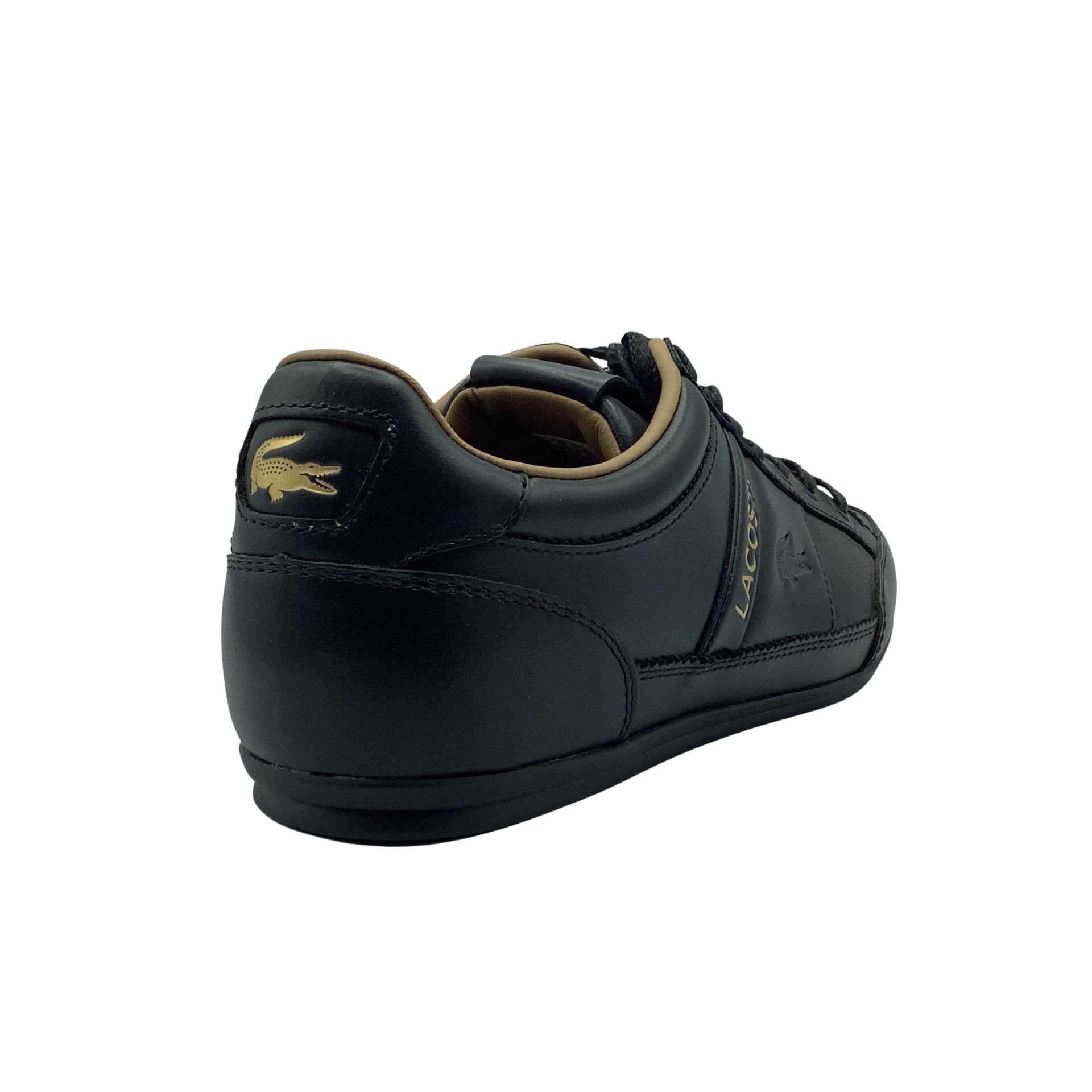 Lacoste chaymon 119 sales 5