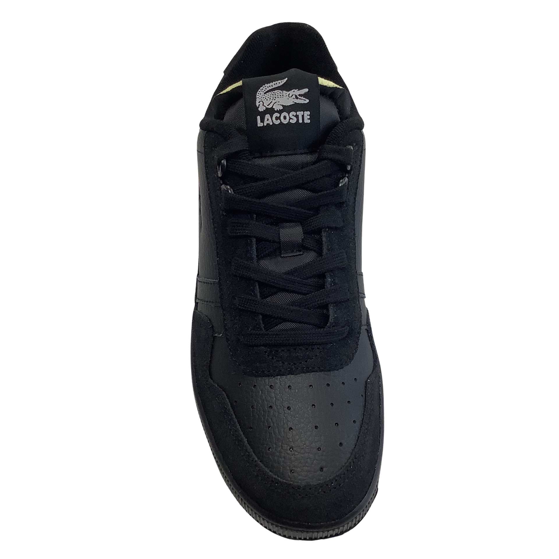 Lacoste T-clip 123 1 SMA